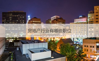 南寧振寧房地產概況與房地產銷售、策劃代理入門指南